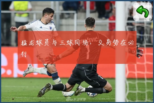 猛龙球员与三球同场，交易势在必行