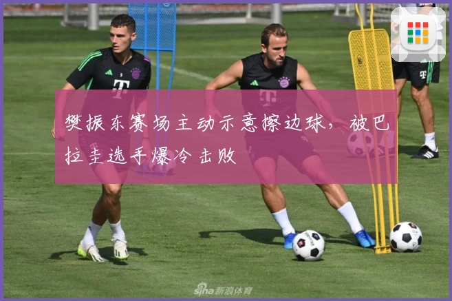樊振东赛场主动示意擦边球,被巴拉圭选手爆冷击败